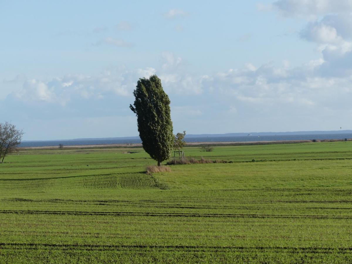 Landhaus Am Haff Stolpe auf Usedom Exteriér fotografie