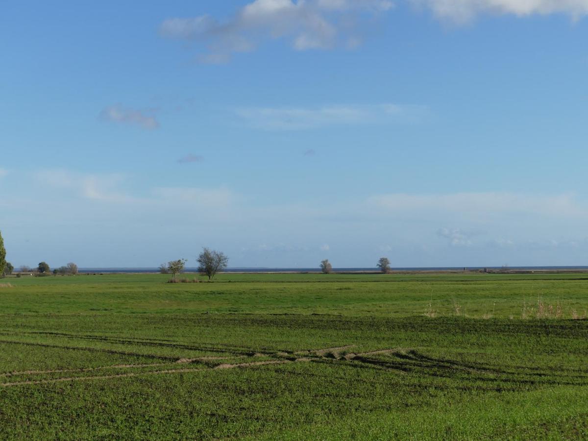 Landhaus Am Haff Stolpe auf Usedom Exteriér fotografie