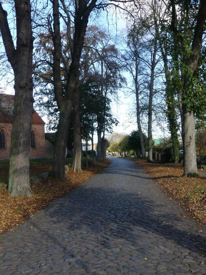 Landhaus Am Haff Stolpe auf Usedom Exteriér fotografie