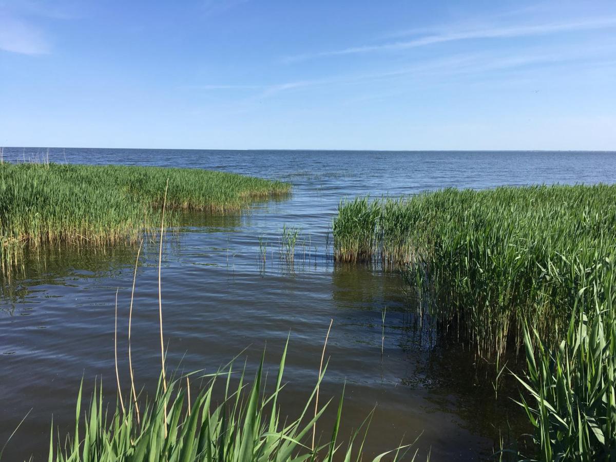 Landhaus Am Haff Stolpe auf Usedom Exteriér fotografie