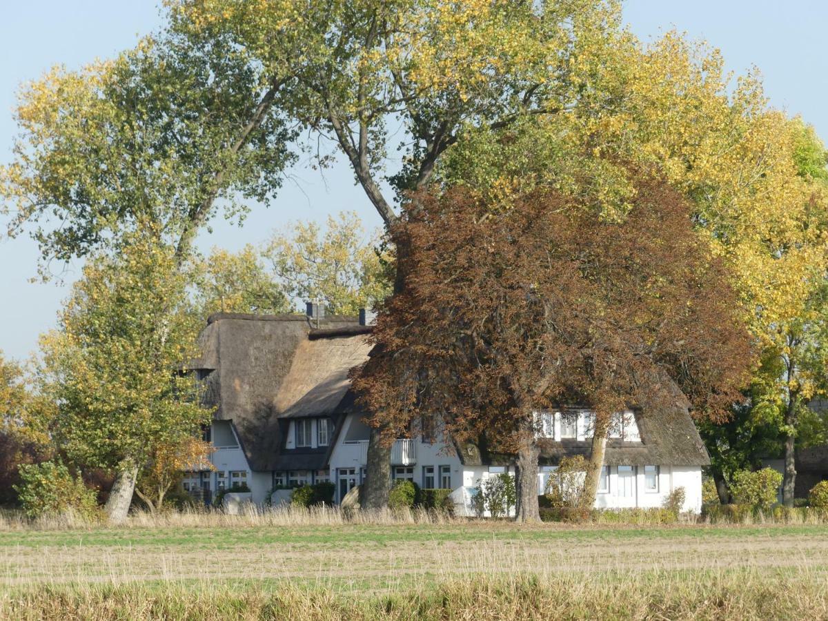 Landhaus Am Haff Stolpe auf Usedom Exteriér fotografie